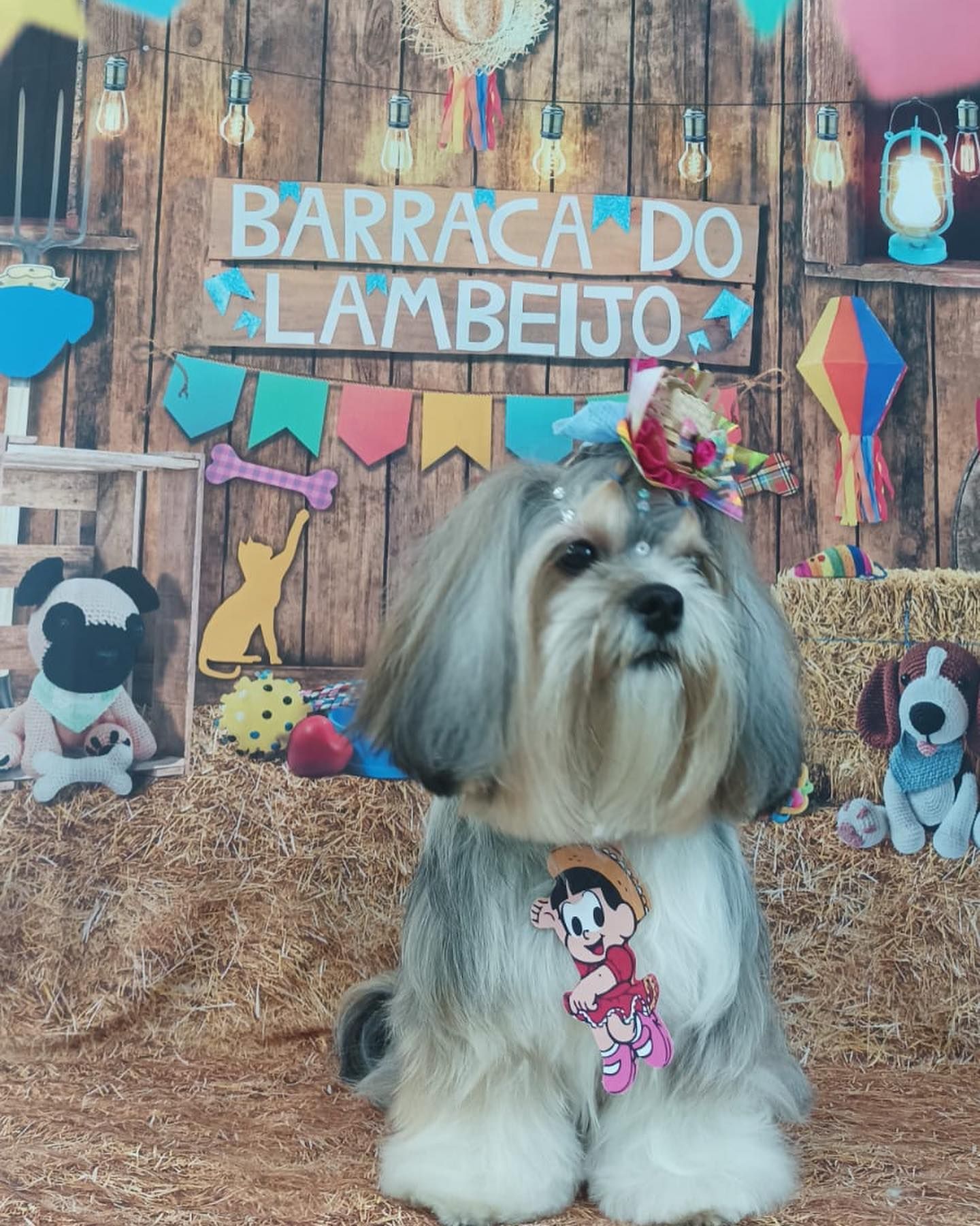 Galeria